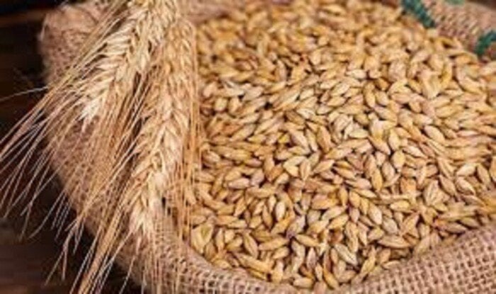 سعر الأرز الشعير اليوم الإثنين 9 يونيو 2025