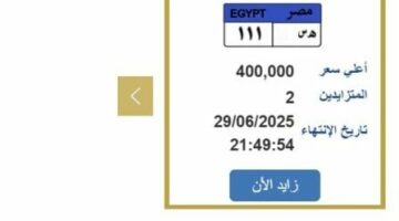 سعرها وصل 400 ألف جنيه.. التزايد على لوحة سيارة مميزة ينتهي خلال ساعات