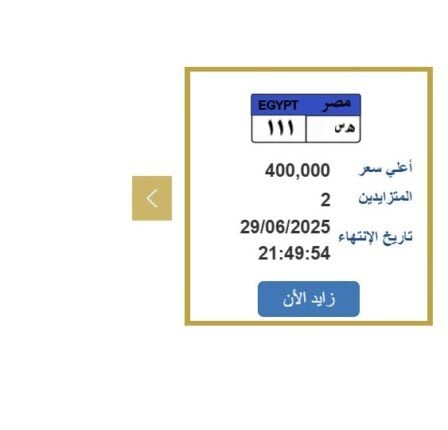 سعرها وصل 400 ألف جنيه.. التزايد على لوحة سيارة مميزة ينتهي خلال ساعات