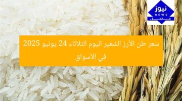 سعر طن الأرز الشعير اليوم الثلاثاء 24 يونيو 2025 في الأسواق