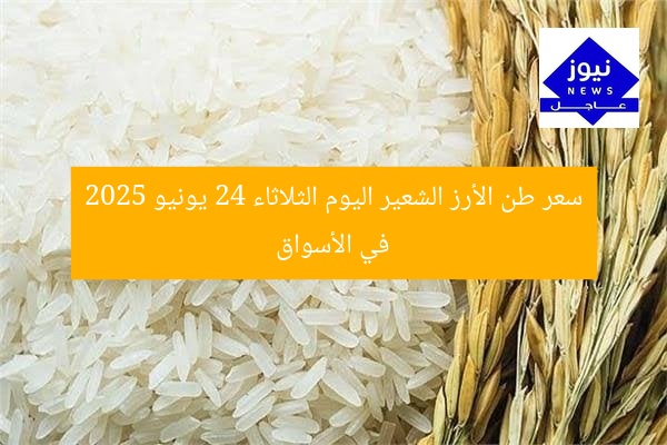 سعر طن الأرز الشعير اليوم الثلاثاء 24 يونيو 2025 في الأسواق