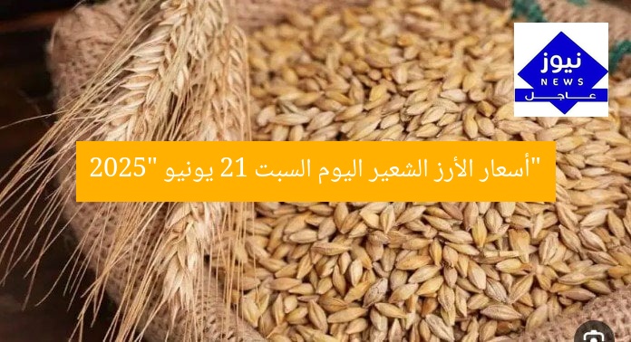 “أسعار الأرز الشعير اليوم السبت 21 يونيو 2025”