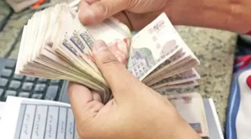 عاجل| بنسبة 15%.. موعد صرف زيادة المعاشات بعد تصديق الرئيس عليها