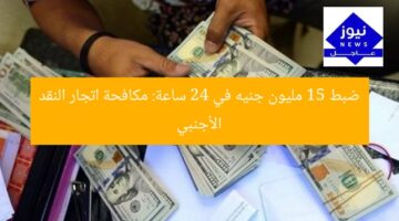 ضبط 15 مليون جنيه في 24 ساعة: مكافحة اتجار النقد الأجنبي
