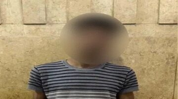 كشف ملابسات الاعتداء على «كلب ضال» في المنيا