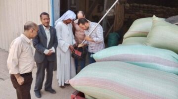 محافظ المنيا: 511 ألف طن قمح في الشون.. ومتابعة ميدانية على مدار الساعة