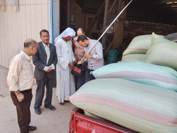 محافظ المنيا: 511 ألف طن قمح في الشون.. ومتابعة ميدانية على مدار الساعة
