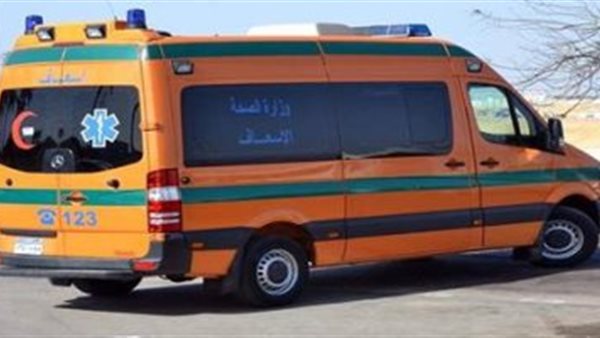 مصرع شاب وإصابة نجله في حادث تصادم بالفيوم