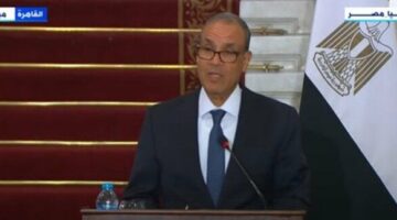 وزير الخارجية: توافق في الرؤى للانتقال بالعلاقات المصرية النمساوية إلى آفاق أرحب