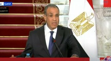وزير الخارجية: نبحث تجديد مبادرتي استيراد السيارات للمصريين بالخارج
