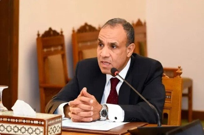 وزيرة الخارجية الفلسطينية تُشيد بموقف مصر التاريخي الداعم للقضية