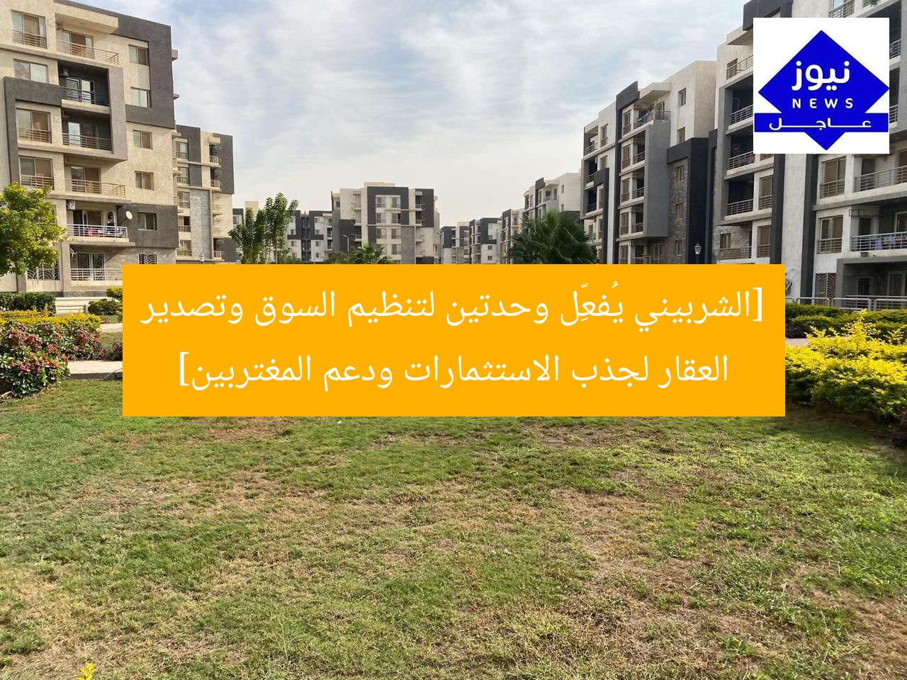 [الشربيني يُفعِّل وحدتين لتنظيم السوق وتصدير العقار لجذب الاستثمارات ودعم المغتربين]