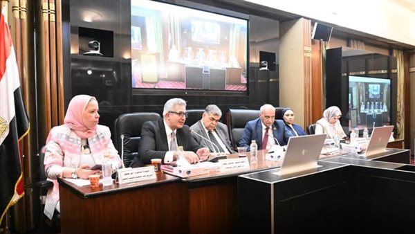 "الأعلى للجامعات" يشارك في جلسة قانون التعليم بالبرلمان