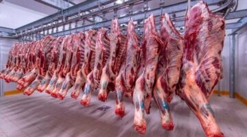 البتلو بكام النهاردة؟.. أسعار اللحوم اليوم الثلاثاء 1 يوليو 2025