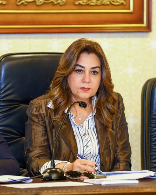 التنمية المحلية: تسليم مجلس النواب بيانًا بالأراضي الصالحة لمشروعات الإسكان في المحافظات