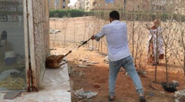 انطلاق حملة لتطعيم الكلاب ضد السعار بمدينة 6 أكتوبر