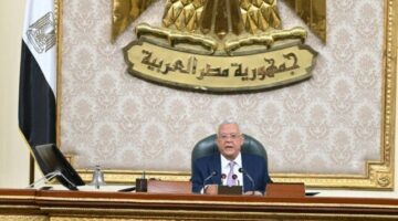 رئيس النواب يشكر وزير الشباب على سرعة استجابته وتفاعله مع توصيات المجلس