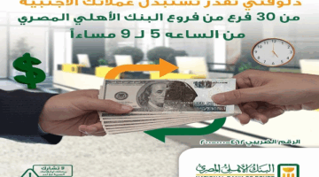 في هذا الموعد.. البنك الأهلي المصري يتيح تحويل العملات الأجنبية عبر 30 فرعا على مستوى الجمهورية 