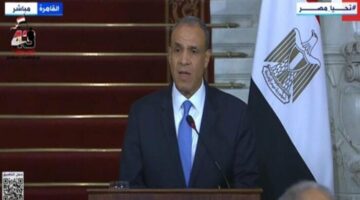 وزير الخارجية: نرفض مخططات التهجير.. ومؤتمر إعمار غزة فور وقف إطلاق النار